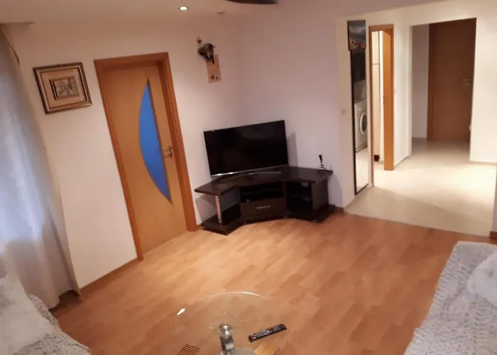 Apartment Timisoara *